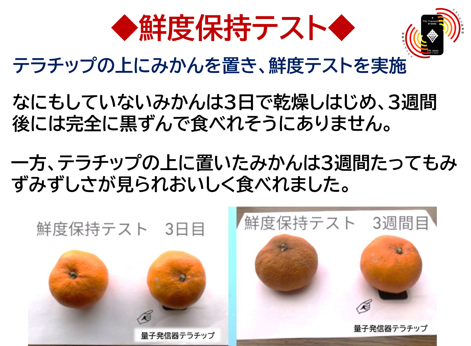 ◆鮮度保持テスト◆